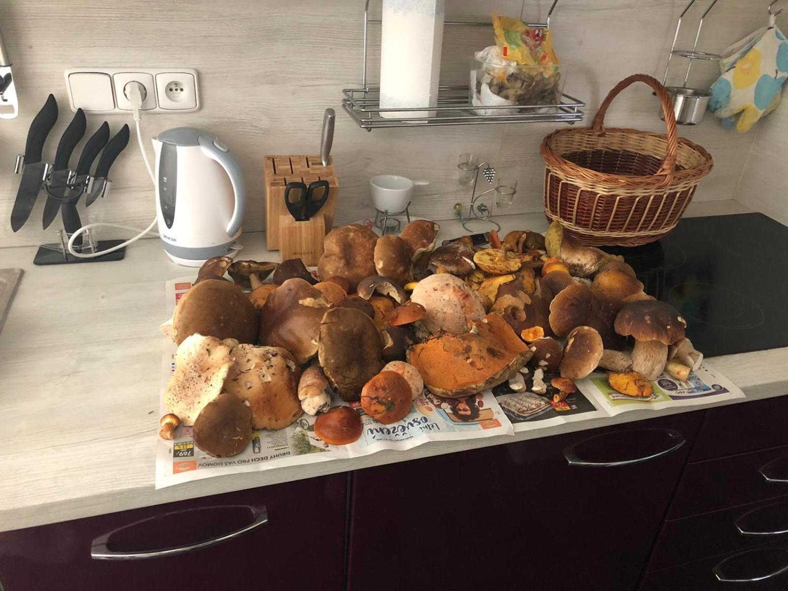 Apartmány Borůvka Česká Kamenice Exterior foto